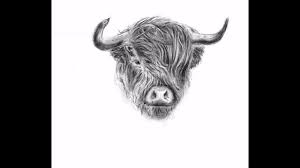 Speed Drawing 2 Highland Cow Says Hello Youtube Draw a cow face · art projects for kids. speed drawing 2 highland cow says