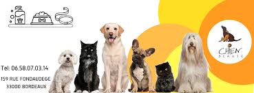 Les inscriptions seront bientôt ouvertes. Chien Beaute Bx Home Facebook