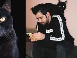Don gato ha fallecido esta tarde, finalmente no ha podido superar la enfermedad. De Que Murio Don Gato La Mascota Del Famoso Youtuber Auronplay