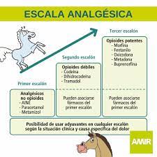 Pin En Medicine