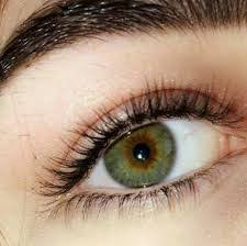 العيون الخضراء ، منها أن عيونهم في الأصل ليست خضراء ولا يولدون بها. ØµÙˆØ± Ø¹ÙŠÙˆÙ† Ø®Ø¶Ø± Ø§Ø¬Ù…Ù„ ØµÙˆØ± Ø¹ÙŠÙˆÙ† Ø®Ø¶Ø±Ø§Ø¡ ÙƒÙ„Ø§Ù… Ù†Ø³ÙˆØ§Ù†