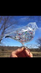 Bildergebnis für Kelly Heaton