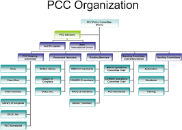 Organization Governance Program For Cooperative