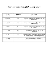 manual muscle testing chart printable manual muscle