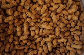 Do Peanuts Go Bad? Peanuts Shelf Life And Spoilage - Can It Go Bad?