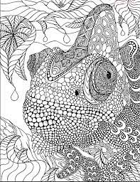 Säugetiere gehören zu den anpassungsfähigsten tieren der welt. Free Mandala Mandalas Fur Kinder Und Erwachsene Zum Ausdrucken Und Ausmalen