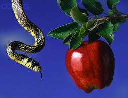 2 16 10 The Substitute Px Forbidden Fruit Adam And Eve Snake
