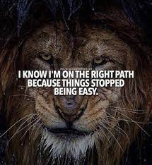 20 Motivational Quotes Brought To You By Big And Powerful Cats In 2020 Inspirational Quotes With Images Inspirational Quotes Motivation Motivational Quotes For Athletes