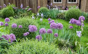 If you are bored putting flowers on the side of your lawn, then create a small bed in the center of the backyard. Fall Plant And Flower Ideas The Home Depot
