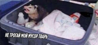 обои на телефон с надписью не трогай мой телефон на русском Pin By Pinfi On Memasy In 2020 Laundry Basket Plastic Laundry Basket Laundry Organization