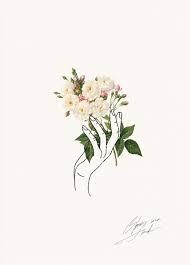 A New Era Begins Back With You Shortly Flower Drawing Line Art Art Continuous line drawing hand holding flower vector illustration #16973828. flower drawing line art