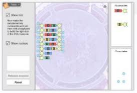 We would like to show you a description here but the site won't allow us. Gizmo Of The Week Building Dna Explorelearning News