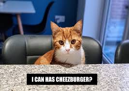 Image result for i can has cheezburger