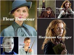 Fleurmione, Fleur Delacour, Hermione Granger, Harry Potter, hp [ edit  credit to Instagram user tagged ]