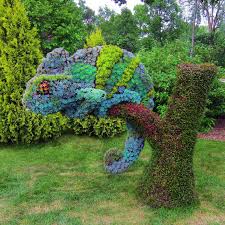 56 Great Pics And Memes To Improve Your Mood Montreal Botanical Garden Garden Art Succulents Garden