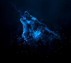 Awesome wolf wallpaper for desktop, table, and mobile. Pin By Amany Hammad On My Baby S Galaxy Wolf Wolf Pictures Wolf Wallpaper