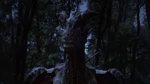 Après que drago ait sauvé la vie de gareth, les deux deviennent intimement liés et doivent travailler ensemble pour vaincre le sorcier et arrêter son règne de terreur. Coeur De Dragon 3 La Malediction Du Sorcier Dragonheart 3 The Sorcerer S Curse