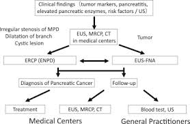 Treatment incorporates chemotherapy, radiation therapy, and/or surgery. Effective Screening For Early Diagnosis Of Pancreatic Cancer Sciencedirect