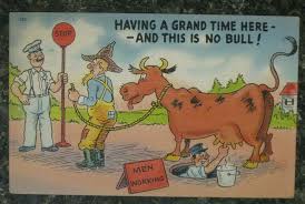 Vtg Comic Novelty Postcard Having A Grand Time Here This Is No Bull Milking Cow Cows Funny Cow Art Bull