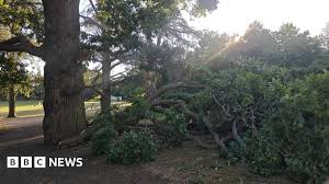 Jade that1iggirl shared my coordinates, said she was about