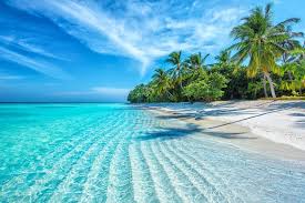 Playa del Carmen inversion inmobiliaria Aurex Global