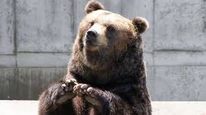 All cards are printed with full color and can be each individually customized both front and back. Custom Cards Making Every Card Count Hall Of Beorn