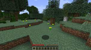 This could be from accidentally removing files from your sever to cause these glitches. Invisible Entities Player Model All Mobs Chests Game Is Completely Unplayable Java Edition Support Support Minecraft Forum Minecraft Forum
