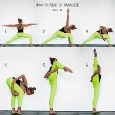 Man Bird Of Paradise Yoga Pose Easy Desserts Quick 3 Ingredients Easy Desserts In 2020 Bird Of Paradise Yoga Yoga Tutorial Yoga Poses For Beginners