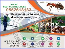 Using harmful chemicals, you may kill a great number of rodents at once. Atlas Pest Control Company In Dubai 2020 Discount Time