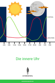 These sentences come from external sources and may not be. Wie Ihre Innere Uhr Ihre Gesundheit Kontrolliert Medumio