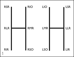Image result for Eye Examination