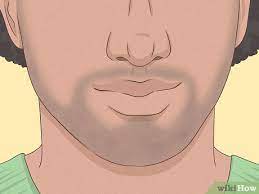 Daily rubdowns using a beard brush or comb will help wrangle stubborn hairs, as you train them to grow facing downwards. 3 Ways To Grow Facial Hair Wikihow