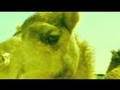 The camel (live) the sun is gonna shine again, i know. Fat Freddy S Drop The Camel 2008 180gram Vinyl Vinyl Discogs