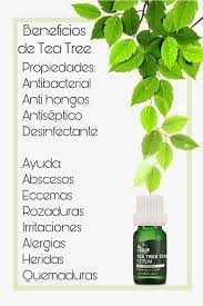 Tea Tree Tea Tree Oil Cream Tea Tree Cream Tea Tree Soap