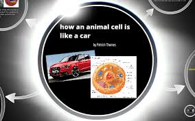 Maybe you would like to learn more about one of these? How An Animal Cell Is Like A Car By Patrick Thomas