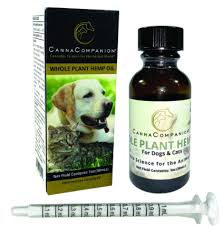 Is cbd safe for your cat? Ultimate Guide To Cannabis Oil For Dogs Cats