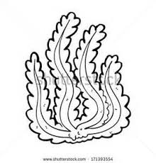 Seaweed Template Yahoo Image Search Results Coloring Pages Ocean Coloring Pages Coloring Pages For Kids