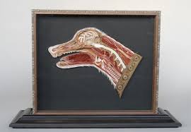 Unbelievable Anatomical Quilled Art By Lisa Nilsson Quilled Paper Art Art Paper Art