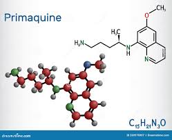 Image result for Primaquine