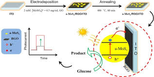 We firmly believe that you can become a human lie detector at the end of this course. One Step Electrodeposition Of High Quality Amorphous Molybdenum Sulfide Rgo Photoanode For Visible Light Sensitive Photoelectrochemical Biosensing Sciencedirect