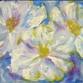 Pick Your Size: Abstract Daisies