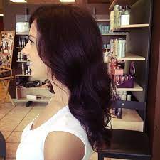 Pin By Claire Ankney On Hair Violet Brown Hair Dark Violet Hair Violet Hair