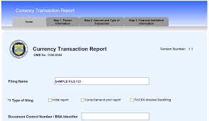 Check spelling or type a new query. Https Www Fincen Gov Sites Default Files Shared Ctr Doeprecordedversion Pdfslides Pdf