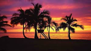 Here you can download full hd sunset backgrounds, all backgrounds are good looking and well for photo manipulation in photoshop, picsart, ps touch etc. Hd Wallpaper Sunset Hawaii Oahu Background Images Sunrise Sunset Wallpaper Flare