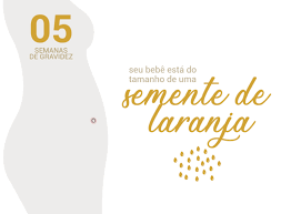 5 Semanas De Gravidez Blog Da Cordvida