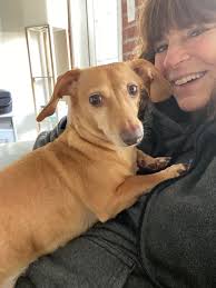 Karen 4 Your Petz Pet Sitting