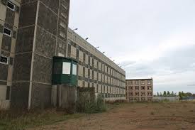 Trend Google: stasi