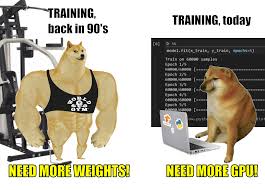 Most of these meme stars. Training Doge Now And Then Meme