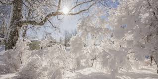 Learn when, how, and why winter solstice occurs, and, find winter solstice traditions, crafts, and other fun ideas to celebrate the begining of winter! When Is The Winter Solstice And Why Is It Celebrated History