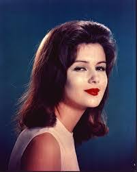 Pamela Tiffin's Instagram, Twitter & Facebook